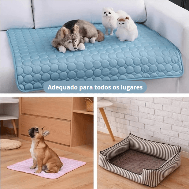 Tapete Refrescante Para Pet - PetClean